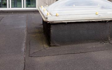 disadvantages of Russels Green flat roofs